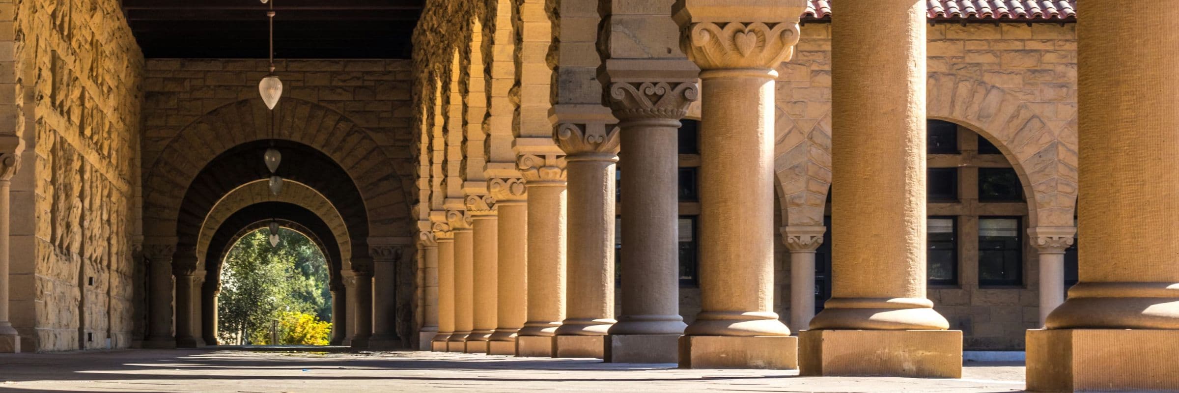 What a Stanford psychologist taught me about the 11+